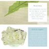 imageBAGAIL 4 Set6 Set Ultralight Compression Packing Cubes Packing Organizer for Travel Accessories Luggage Suitcase BackpackGreen Flower